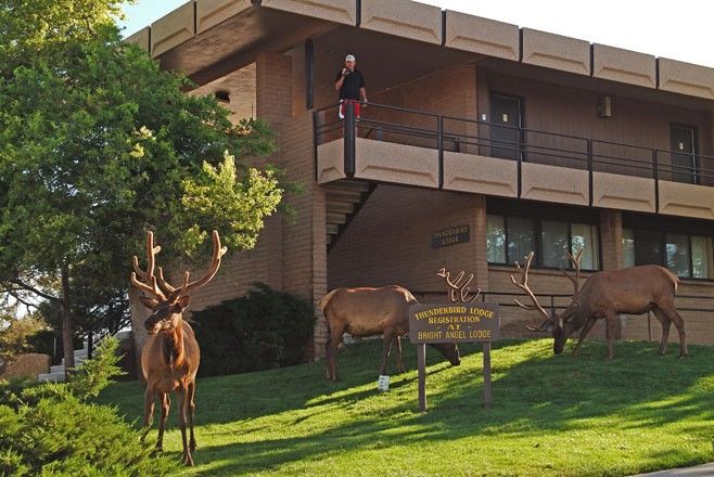 Kachina Lodge Grand Canyon Exterior photo